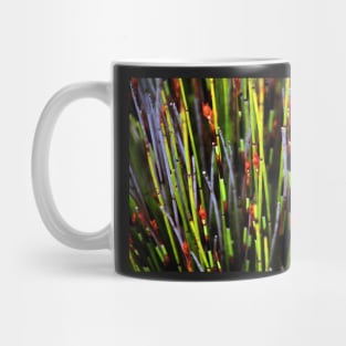 Plants of the Fynbos, Cape Reed Grass Mug